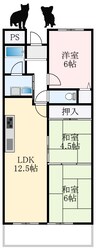 ギャレ金剛の物件間取画像